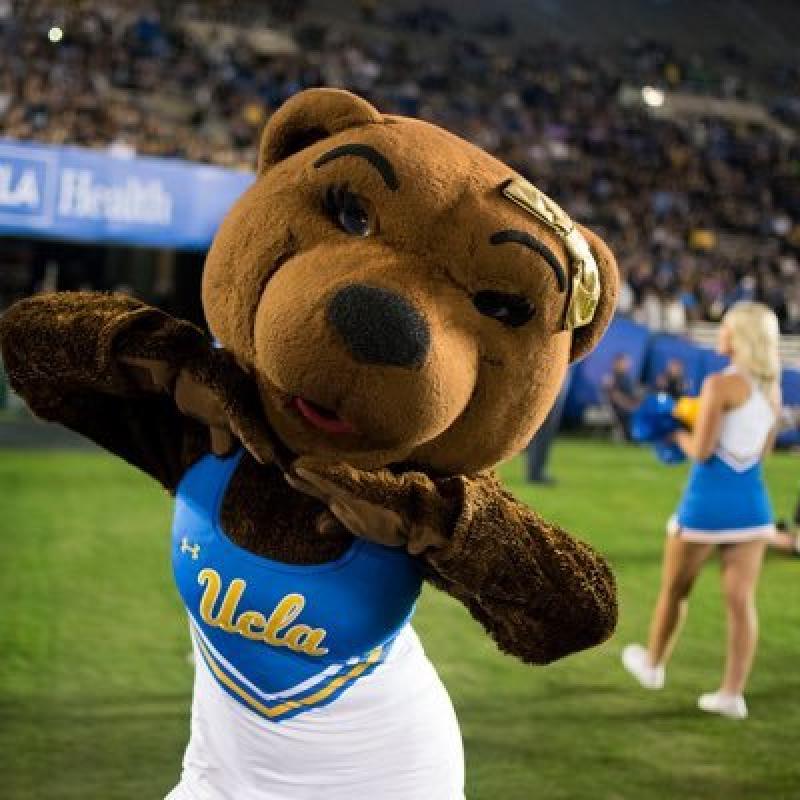Bruin Josie